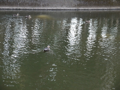 1太鼓橋06.jpg