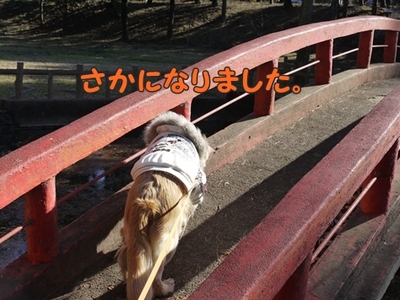 1太鼓橋08.jpg