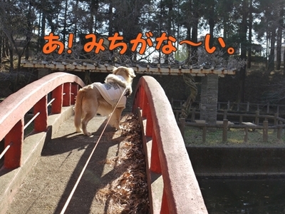 1太鼓橋10.jpg