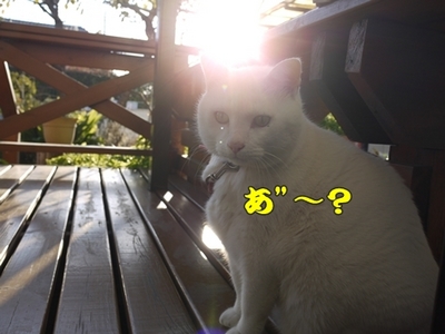 1太鼓橋15.jpg