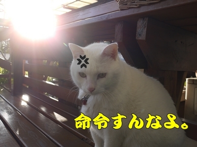 1太鼓橋16.jpg