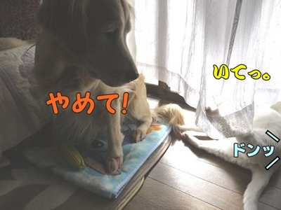 1爪03.jpg