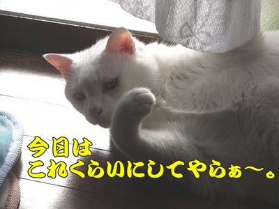 1爪05.jpg