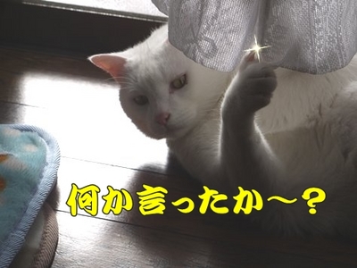 1爪06.jpg