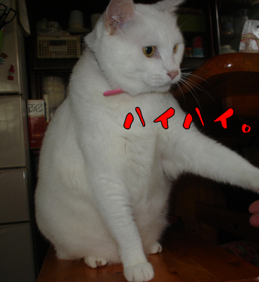 うまうま下さい4.jpg