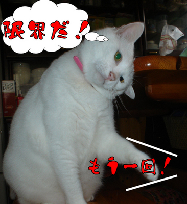 うまうま下さい6.jpg