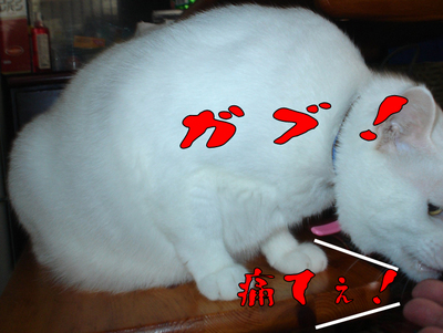 うまうま下さい8.jpg