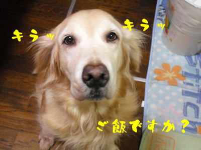 ご飯3.jpg