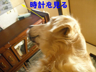 ご飯6.jpg