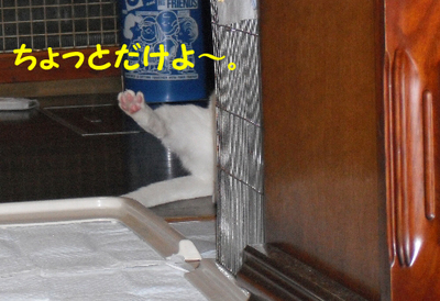 ご飯8.jpg
