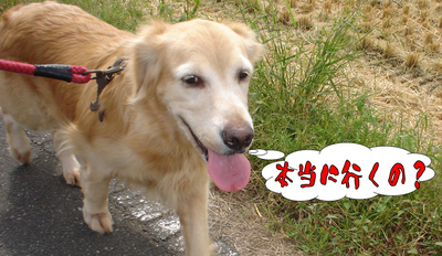 しるし4.jpg