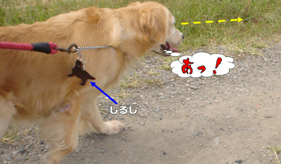 しるし5.jpg