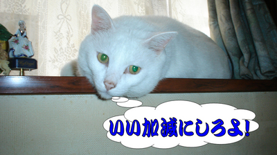 しるし92.jpg