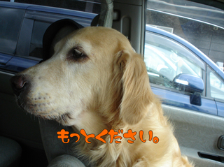 たい焼き2.jpg