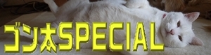 バナー6-crop.jpg