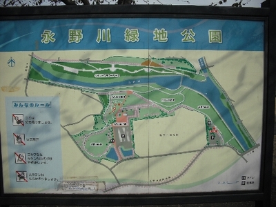 永野川公園1.jpg