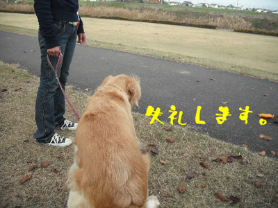 永野川公園2.jpg