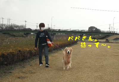 永野川公園5.jpg