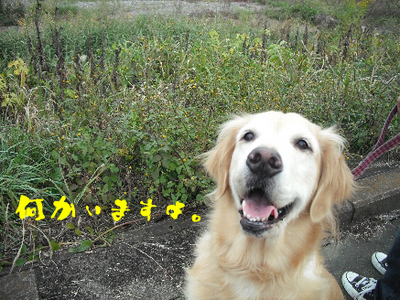 永野川公園6.jpg