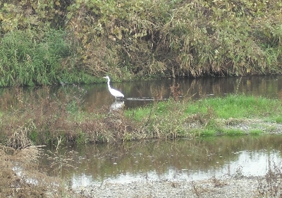 永野川公園7.jpg