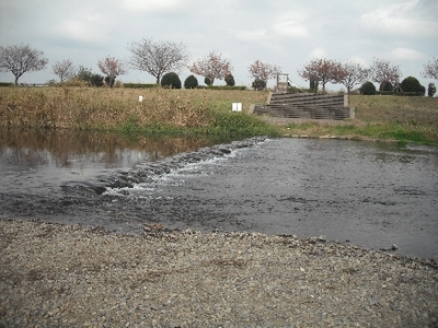 永野川公園8.jpg