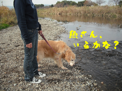 永野川公園90.jpg