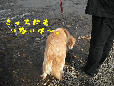 永野川公園92.jpg