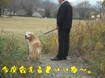 永野川公園96jpg.jpg