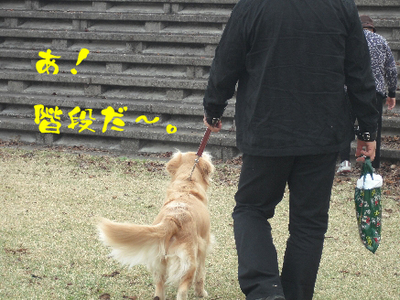 永野川公園97jpg.jpg