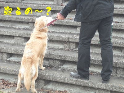 永野川公園98jpg.jpg