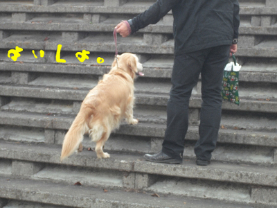 永野川公園991jpg.jpg