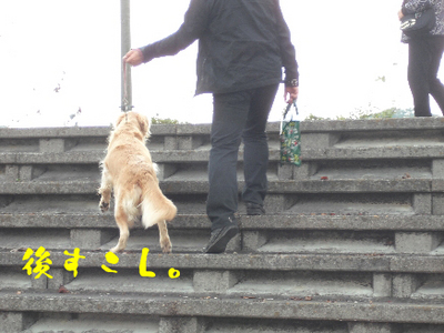 永野川公園992jpg.jpg