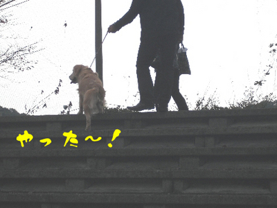 永野川公園993jpg.jpg