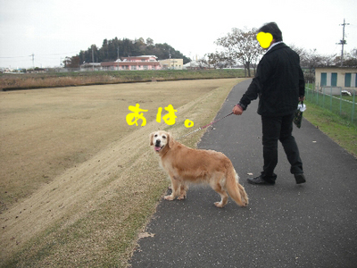 永野川公園994jpg.jpg
