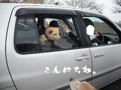 永野川公園996jpg.jpg