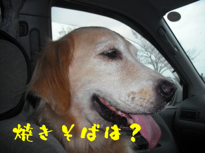 永野川公園9991jpg.jpg