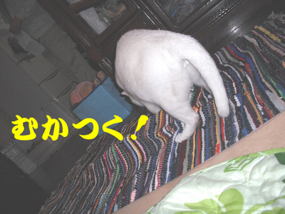 永野川公園9992jpg.jpg