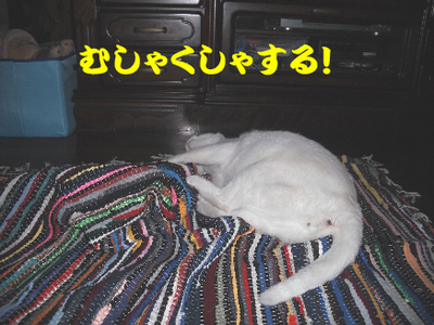 永野川公園9994jpg.jpg