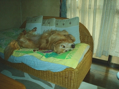 何が1.jpg