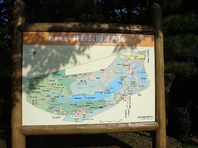 07.jpg