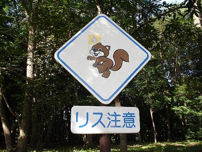 08.jpg