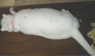 j5.jpg