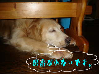 出番無し2.jpg