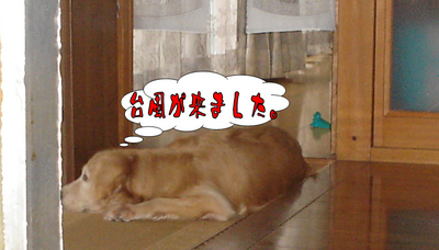 台風1.jpg