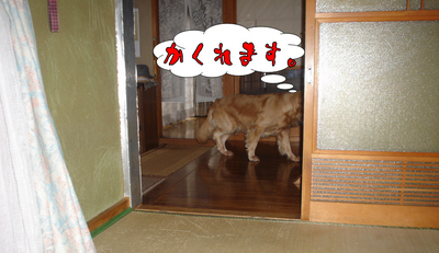 台風2.jpg