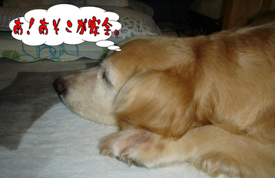 台風4.jpg