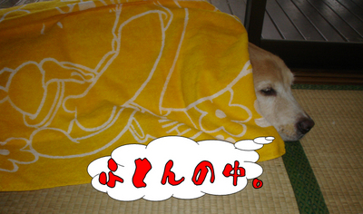 台風5.jpg