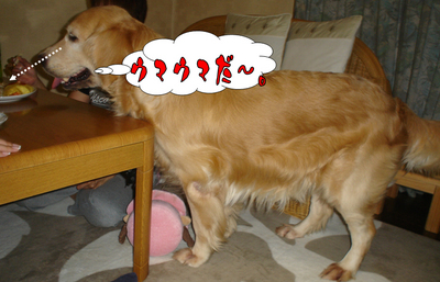 闘病1.jpg