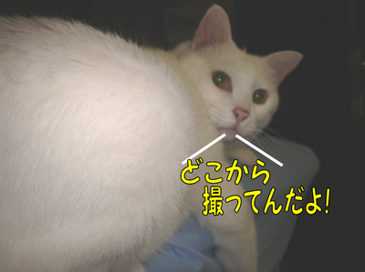 闘病92.jpg
