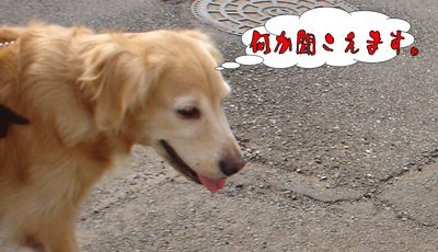 福助8.jpg
